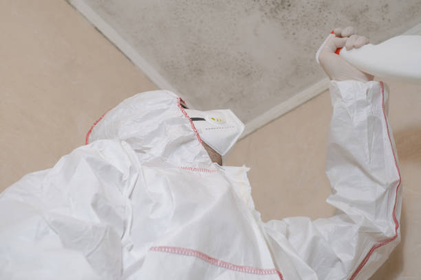 Crawl Space Mold Removal in Brea, CA